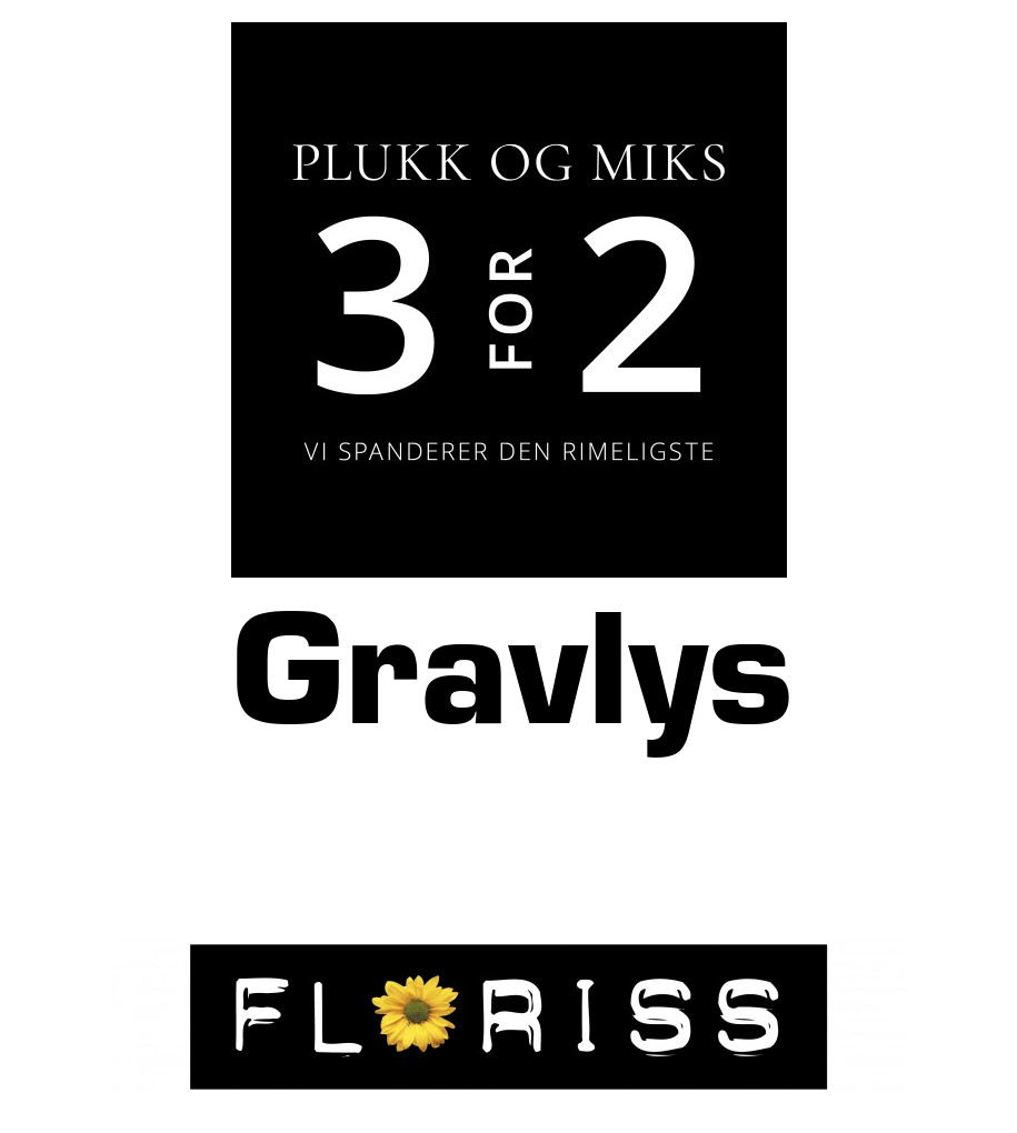 Floriss: Gravlys