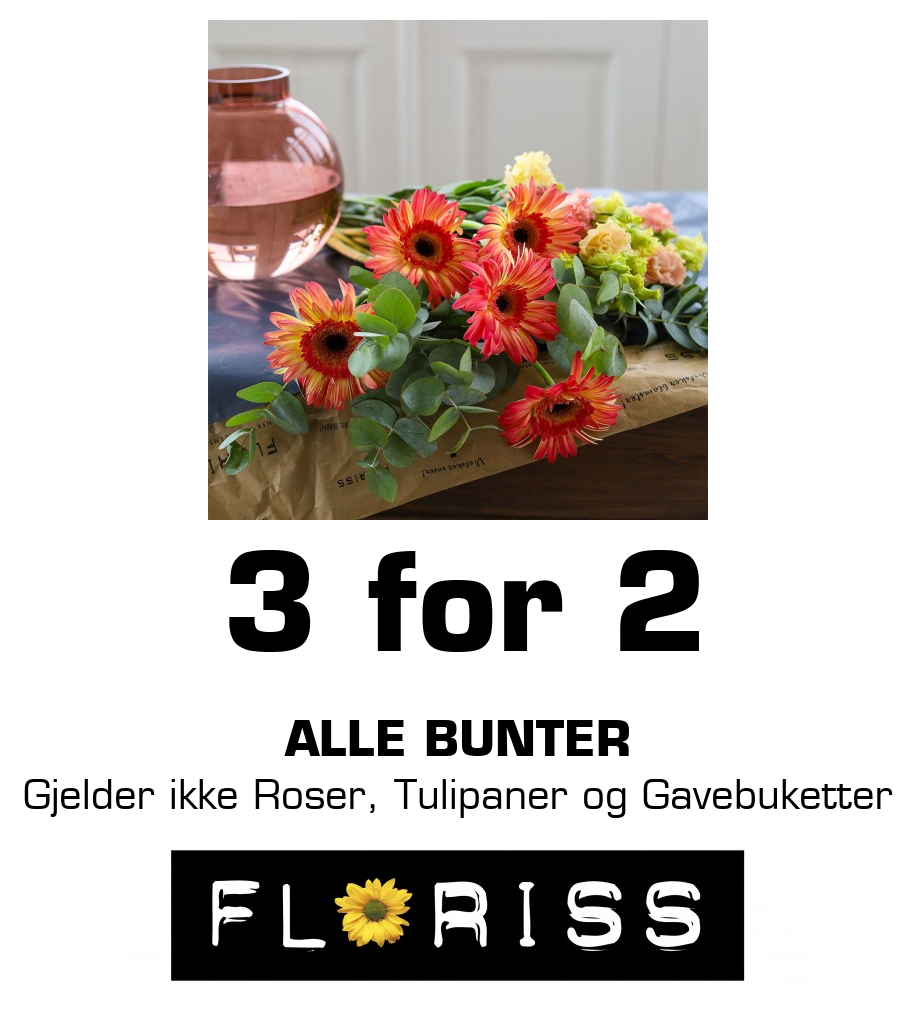 Floriss: 3 for 2 Alle bunter Gjelder ikke Roser, Tulipaner og Gavebuketter