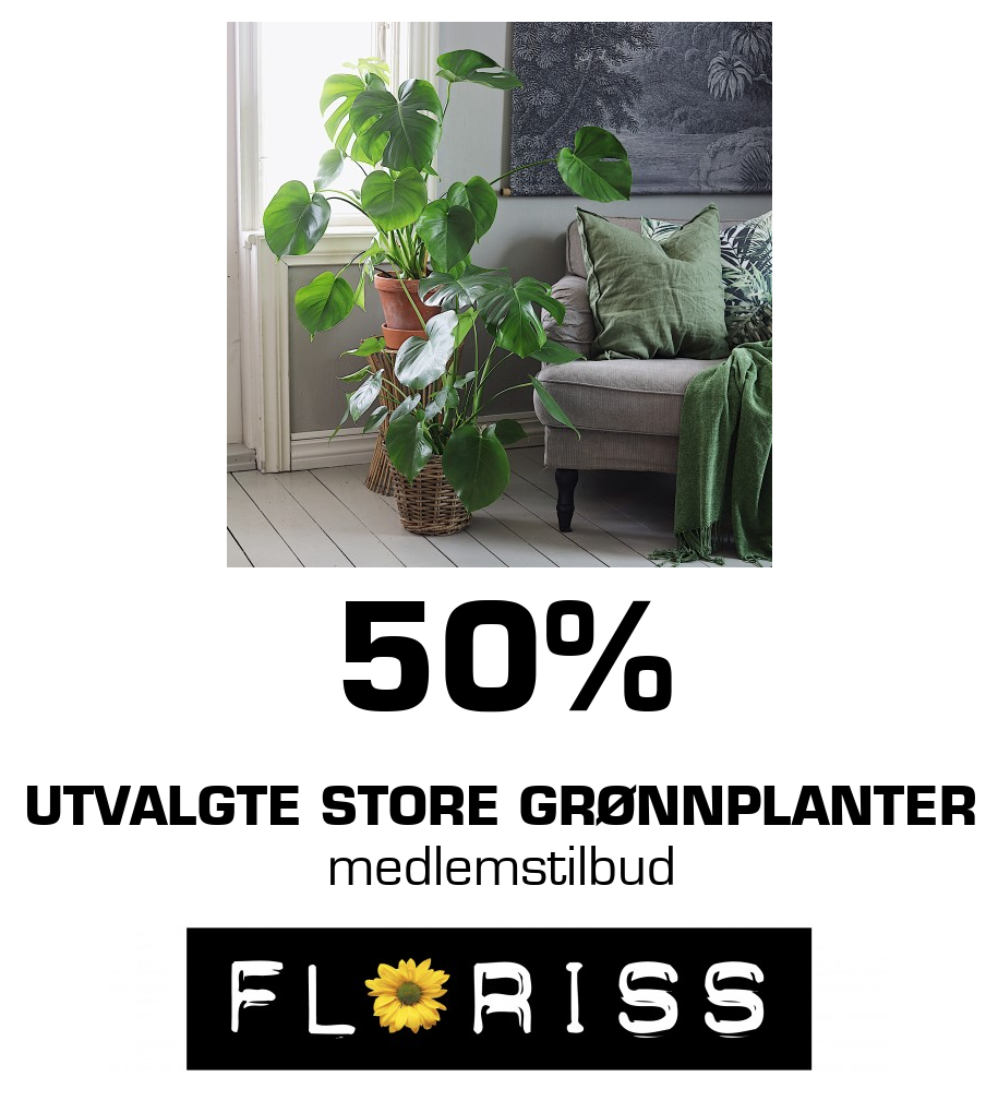 Floriss: 50% Utvalgte store grønnplanter medlemstilbud