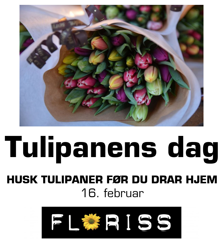 Floriss: Tulipanens dag Husk tulipaner før du drar hjem 16. februar