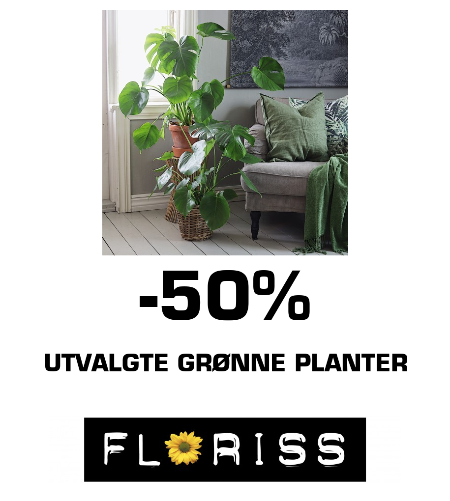 Floriss: -50% Utvalgte grønne planter