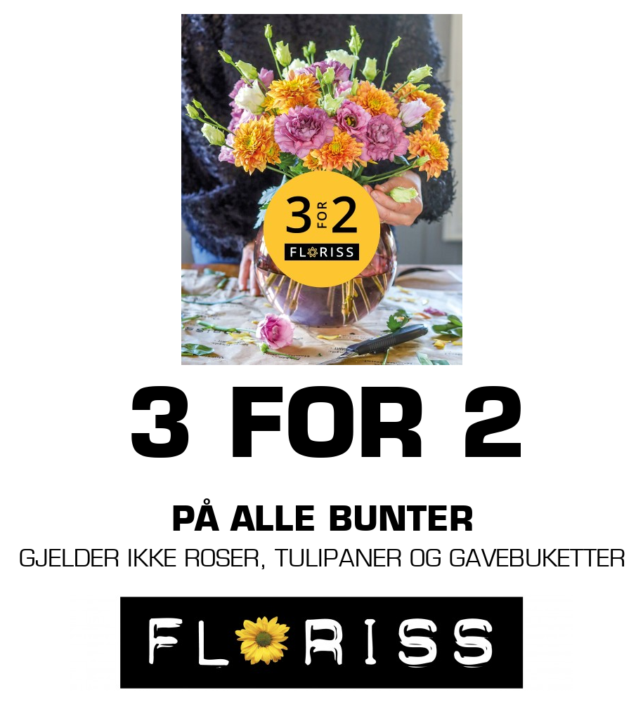 Floriss: 3 FOR 2 PÅ ALLE BUNTER GJELDER IKKE ROSER, TULIPANER OG GAVEBUKETTER