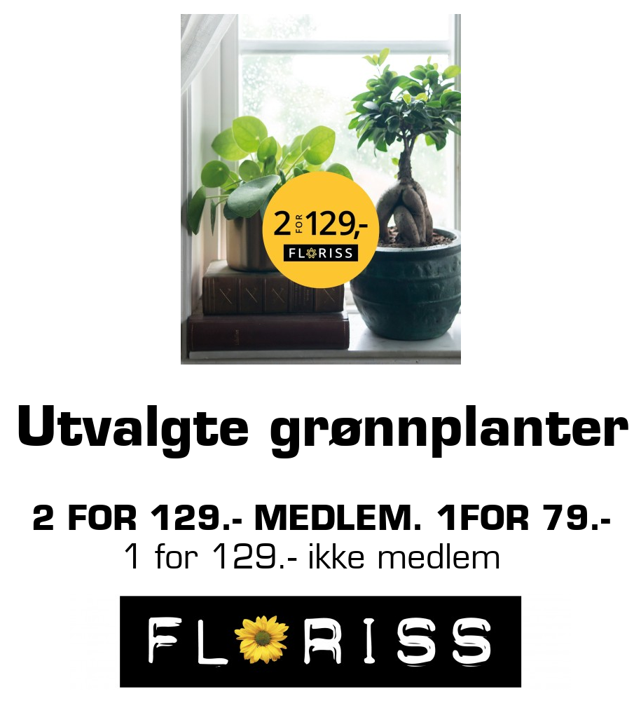 Floriss: Utvalgte grønnplanter 2 for 129.- medlem. 1for 79.- 1 for 129.- ikke medlem