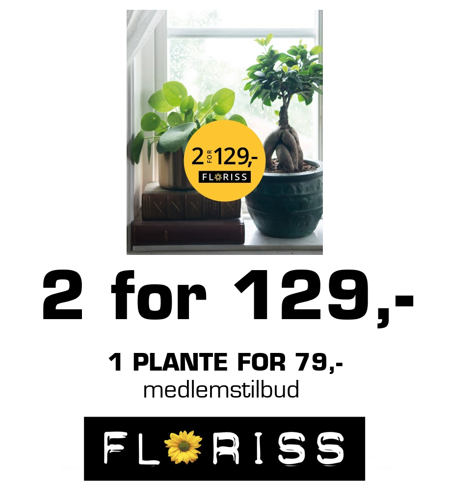 Floriss: 2 for 129,- 1 plante for 79,- medlemstilbud