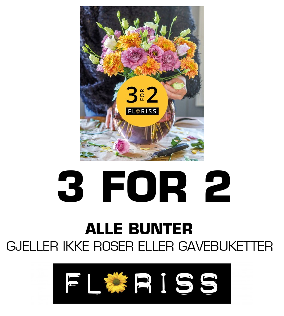 Floriss: 3 FOR 2 ALLE BUNTER GJELLER IKKE ROSER ELLER GAVEBUKETTER